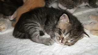 click for enlarge 1920 X 1080 876,1 Kb picture