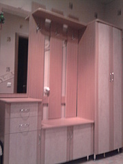 click for enlarge 1536 X 2048 596,0 Kb picture