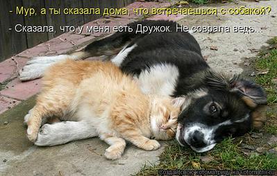 click for enlarge 750 X 478  75,1 Kb picture