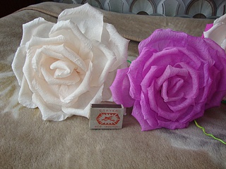 click for enlarge 1024 X 768 277,2 Kb picture