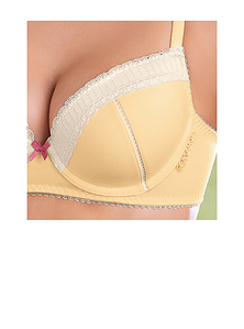 click for enlarge 423 X 570 94,7 Kb picture