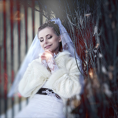 click for enlarge 900 X 900 717,7 Kb picture