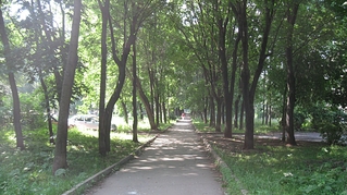 click for enlarge 1275 X 716 827,2 Kb picture