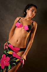 click for enlarge 245 X 368 50,8 Kb picture