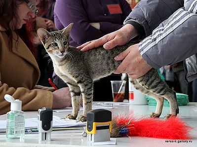 click for enlarge 549 X 412  78,4 Kb picture