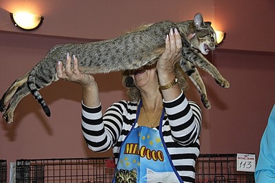 click for enlarge 500 X 333  45,0 Kb picture