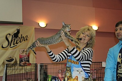 click for enlarge 500 X 333  44,2 Kb picture