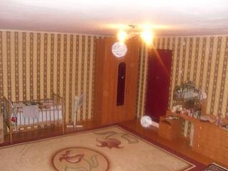 click for enlarge 448 X 336  29,8 Kb picture