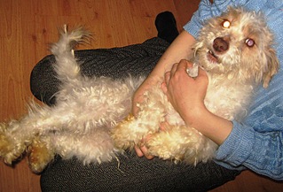 click for enlarge 800 X 543 156,9 Kb picture