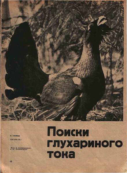 click for enlarge 1226 X 1672  74,9 Kb picture