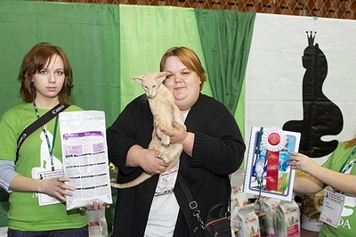 click for enlarge 640 X 426 213,6 Kb picture