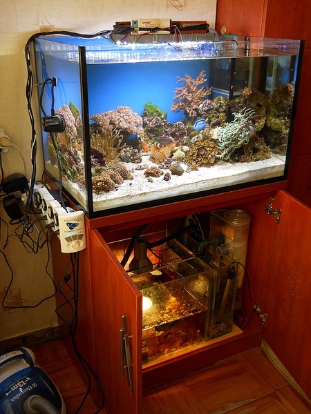 click for enlarge 1500 X 2000 374,1 Kb picture