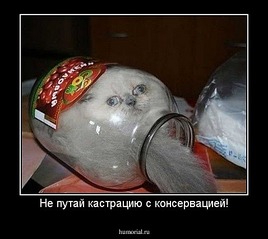 click for enlarge 478 X 427 43,1 Kb picture