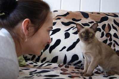 click for enlarge 604 X 402 45,8 Kb picture