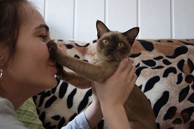 click for enlarge 604 X 402 38,4 Kb picture