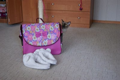 click for enlarge 604 X 402 37,1 Kb picture