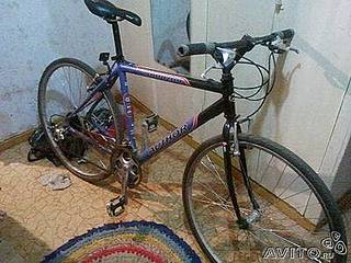 click for enlarge 400 X 300 25,5 Kb picture