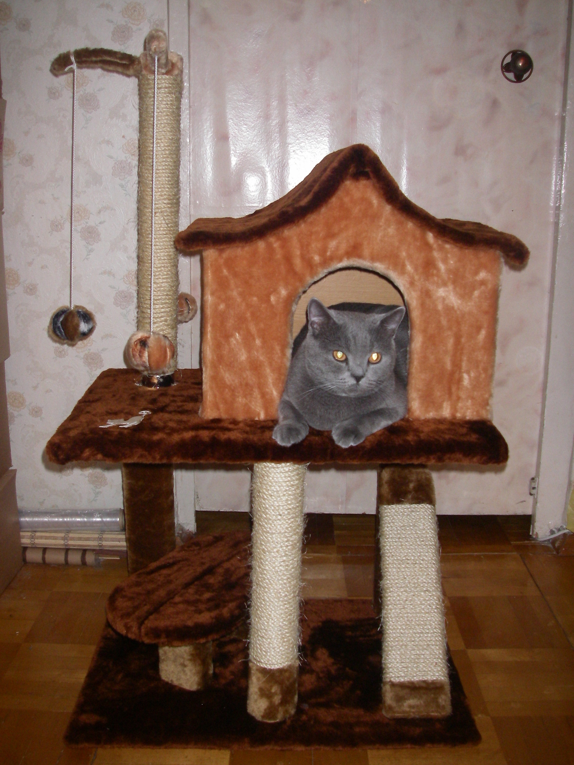 Кошкин дом домашний. Домик для кошки "Кошкин дом". Rominiys Кошкин домик. Домик для кошки своими руками. Домик для кошек из дерева.