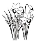 click for enlarge 859 X 1022 134,2 Kb picture