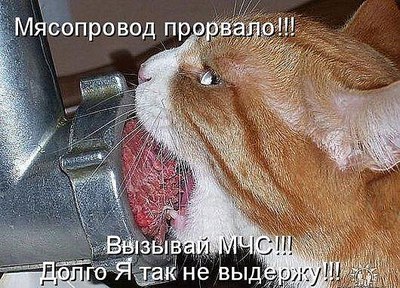 click for enlarge 530 X 382 74,2 Kb picture
