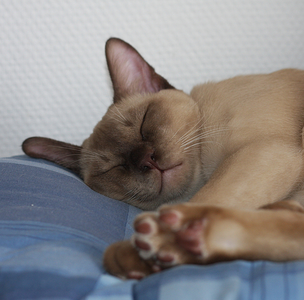 click for enlarge 863 X 851 439,5 Kb picture