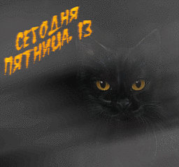 click for enlarge 400 X 374  62,5 Kb picture