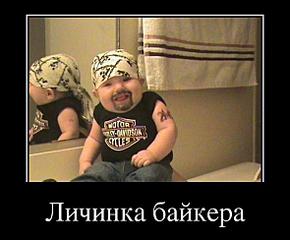 click for enlarge 590 X 488 33,4 Kb picture
