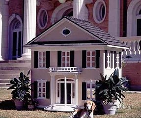 click for enlarge 419 X 350  37,2 Kb picture