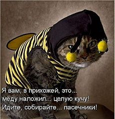 click for enlarge 463 X 480  43,6 Kb picture