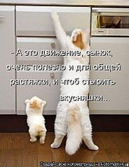 click for enlarge 369 X 480  34,7 Kb picture