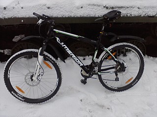 click for enlarge 1600 X 1200 308,4 Kb picture