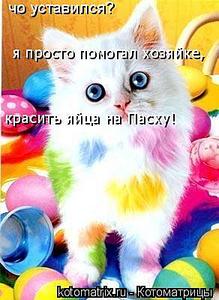 click for enlarge 292 X 400  26,8 Kb picture
