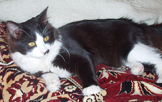 click for enlarge 1739 X 1100 185,3 Kb picture