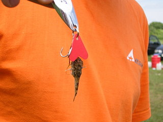 click for enlarge 1920 X 1440 383,6 Kb picture