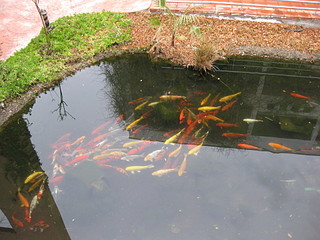 click for enlarge 1920 X 1440 698,1 Kb picture