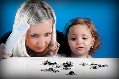 click for enlarge 800 X 536 142,2 Kb picture