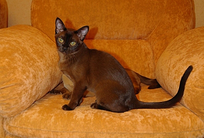 click for enlarge 800 X 541 231,3 Kb picture