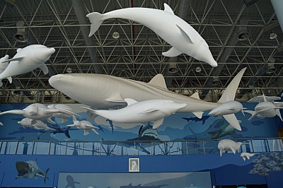 click for enlarge 800 X 532 247,8 Kb picture
