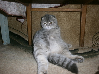 click for enlarge 1920 X 1440 870,6 Kb picture