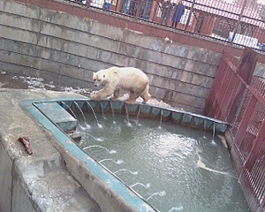 click for enlarge 1280 X 1024 470,7 Kb picture