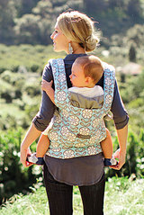 click for enlarge 500 X 746 96,2 Kb picture