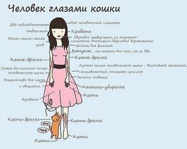 click for enlarge 604 X 479  44,3 Kb picture