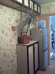 click for enlarge 1536 X 2048 725,3 Kb picture