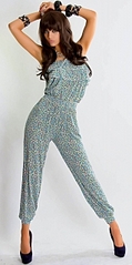 click for enlarge 159 X 320 39,2 Kb picture
