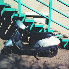 click for enlarge 1536 X 1536 545,5 Kb picture