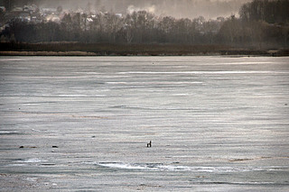 click for enlarge 1500 X 1000 459,1 Kb picture