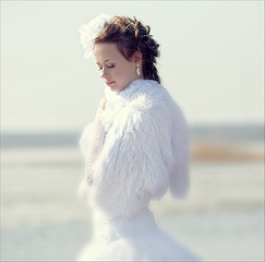 click for enlarge 900 X 887 393,4 Kb picture