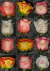click for enlarge 882 X 1248 883,1 Kb picture
