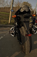 click for enlarge 319 X 480 43,1 Kb picture