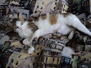 click for enlarge 800 X 600 238,6 Kb picture